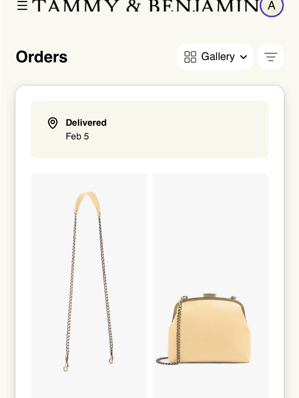 Tammy & Benjamin Pale Yellow Leather Chain-Handle Crossbody Bag